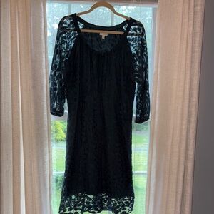 Garnet Hill Forest Green Sheath Dress with 3/4 Raglan Sleeves